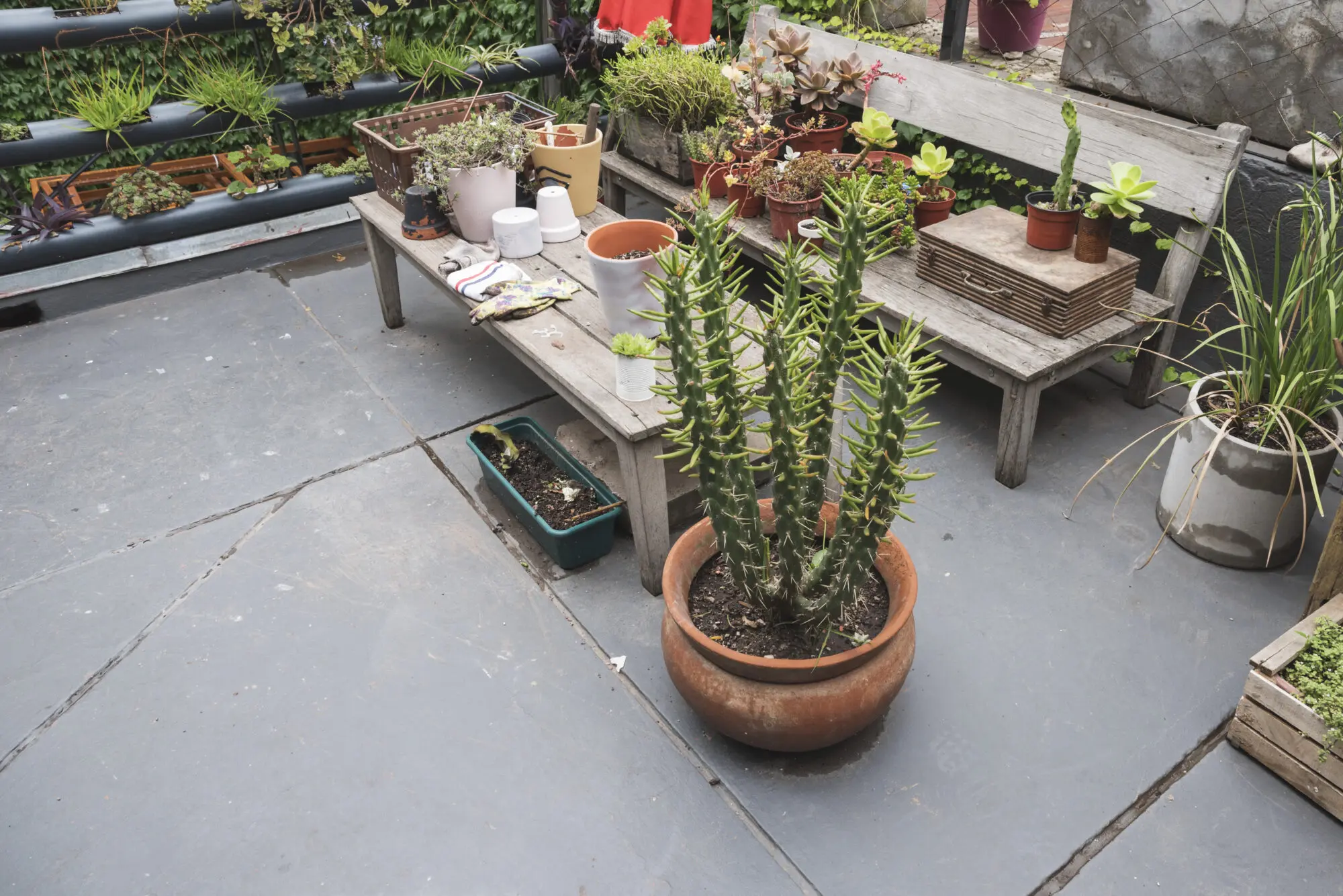 table-bench-full-plants Impermeabilizzazione di vasche con poliurea